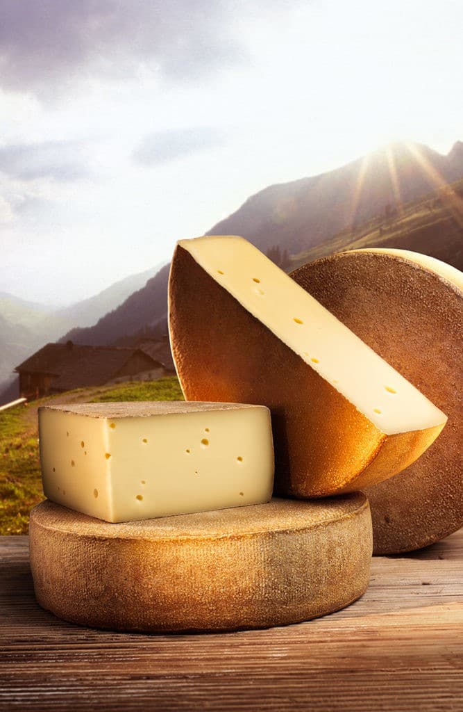 Käselaibe vom Vorarlberger Alpkäse g.U. vor Bergkulisse in Sonnenlicht
