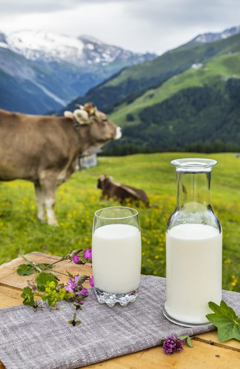 Heumilch g.t.S. - gartantiert traditionelle Spezialität